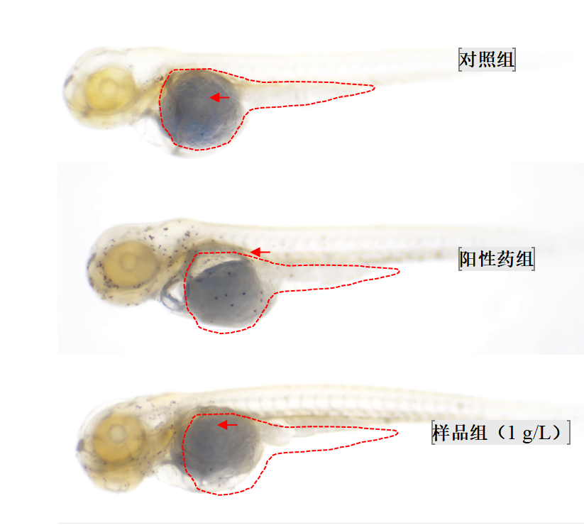 对照组2.png