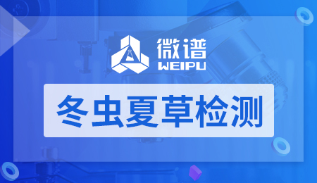 冬虫夏草检测