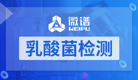 乳酸菌检测